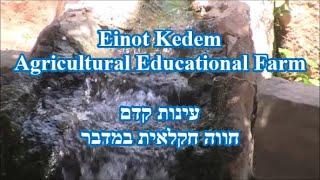 Einot Kedem Agricultural Educational Farm