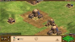 Age of Empires II  HD Edition - 256 Tech Mod