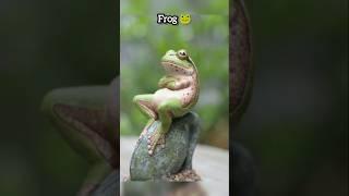 "Skinwalkers disguised as Animals" | #animals #facts #factvideo #scary #skinwalker