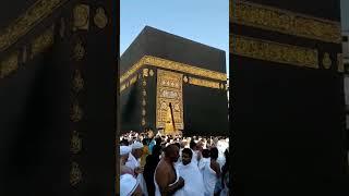 Kaaba Masha Allah #makkah #masjidalharam #islam #peace #trending #shorts #viral #viralshorts #yt