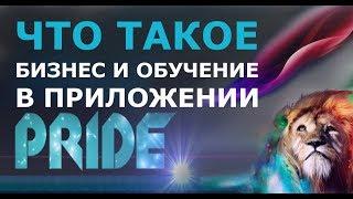 Мобильное приложение Прорыв. Что такое Бизнес и Обучение в компании PRIDE