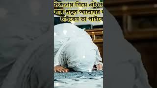 Md mahin gojol