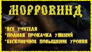 Morrowind 118 Все учителя Бесконечное повышение уровня Полная прокачка навыков