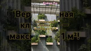 Вертикальная клубника — максимум с 1 м²! #ягоды #вертикаль #урожай #EcokamPro