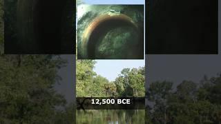 Megafauna and Paleoindians in Florida 14,500 Years Ago #historicaltidbits
