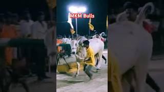 MKM bulls Lingalapadu