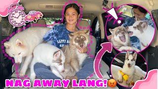 Stuck In A Car With 3 HALIMAW Challenge! | NAGKAGULO! | Husky Pack TV