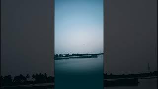 Find Your Inner Peace with Calming Music and Nature's Symphony | #music #shorts