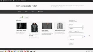 WordPress Meta Data Filter + Taxonomies