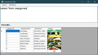 C# Tutorial - Connect to SQL Database | FoxLearn