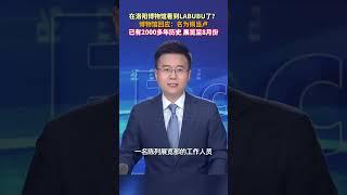 在洛陽博物館看到LABUBU了，這對嗎#culture #labubu #shorts