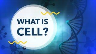 Introduction to Cell