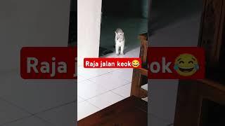 Raja jalanan keok