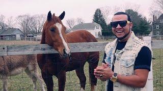 Chico Montana - Poderosa ( Funana 2016) (4K)