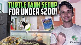 How to Set Up a CHEAP Turtle Tank for Only $200