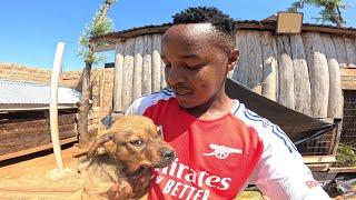 Sad News From The Village!!  We Cried!!