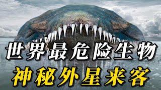 全世界最危險的10種地球生物，外表可愛卻是奪命殺手！第一名堪稱人類“終極殺手”，99%的人都不知道！#野生动物 #科普 #野生生物 #野生動物 #动物 #涨知识 #turtle