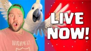 rls for final push?! [SEASON 45]  ! Season 45 // Boom Beach Warships