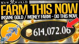 New World: FARM THIS NOW TO EARN 100000s Gold Coins / Money - SUPER FAST GOLD COIN MONEY FARM GUIDE