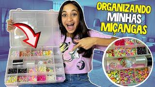 ORGANIZANDO MINHAS MIÇANGAS | O MUNDO DE LARISSA