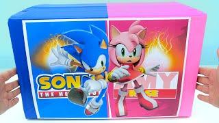 Sonic the Hedgehog and Amy Rose Unboxing Review