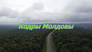 Кодры Молдовы