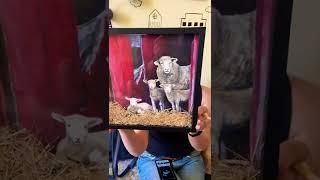 Интерьерная живопись ,объёмные картины