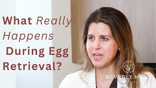 What Really Happens During Egg Retrieval? | Beverly Hills Fertility | Dr. Goldstein
