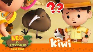 ¿ESTE PÁJARO NO TIENE ALAS?! 🪶 | Kiwi | Leo, El Explorador | Animación - Familia