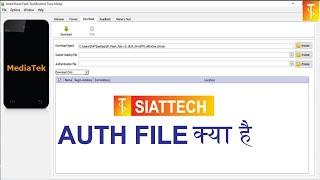 What is Auth File?