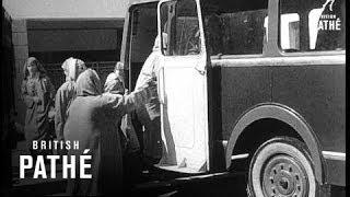 Ex-Sultan Of Morocco's Wives (1953)
