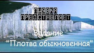 ПЛОТВА ОБЫКНОВЕННАЯ #MyFishingworld