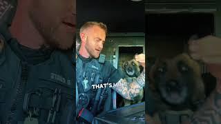 This dog wanted his own PUPPUCINO! ️ (@officer_coats/TT) #shorts