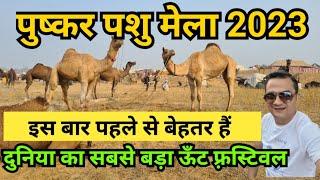 pushkar mela 2023 / pushkar camel fair 2023 / pushkar pashu mela / camel ground pushkar