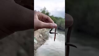 Survival skill: water purification in the #campping wild#camping#survival#outdoors#bushcraft