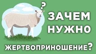 Зачем мусульмане совершают жертвоприношение, и какая от этого польза