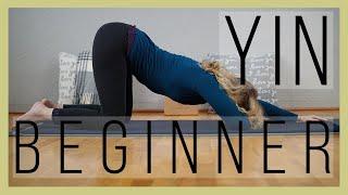 60 min Beginner Yin Yoga  | Meridian Energy | Yoga with Dr. Melissa West 411