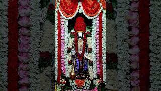 SRINIVASAYA MANGALAM #trending #devotional #lordvenkateshwara