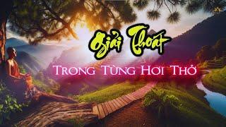 Giải Thoát Trong Từng Hơi Thở | Thiền Sư Ajahn Chah |