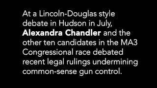 #MA3 Alexandra Chandler for Congress talking gun reform in Hudson, MA