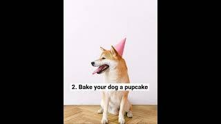 4 Ideas to Celebrate Your Dog’s Birthday