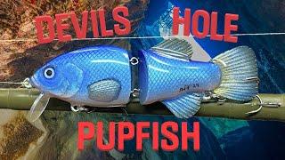 Making the Rarest Fish in the World