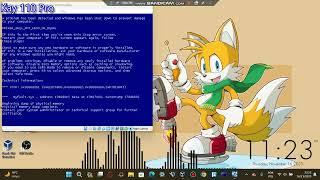 Windows XP BSOD VM
