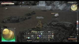 FFXIV No GP Big Fishing [259] Swampsucker Bowfin