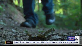 New Johnstown Inclined Plane trails