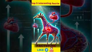 top 5 intersting facts in telugu #telugufacts #facts #unknownfacts #interestingfacts #amazingfacts