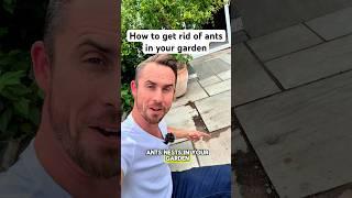 The best way to get rid of ants from your garden #gardening #garden