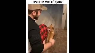 Лучшие #shorts 2021 Приколы Юмор Смех Ржака Тик Ток #shorts