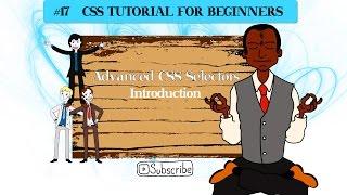 Guide to learn advanced CSS Selectors Tutorial- Introduction
