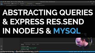 NodeJS Abstracting MySQL Database Query Functions & Express Responses - NJSV#2